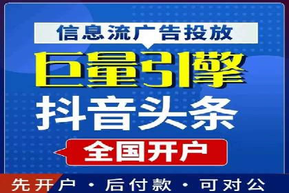 竞价托管与SEO结合的案例分析